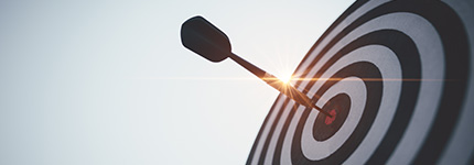A dart in the centre of a target.