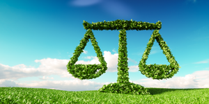 Green Justice