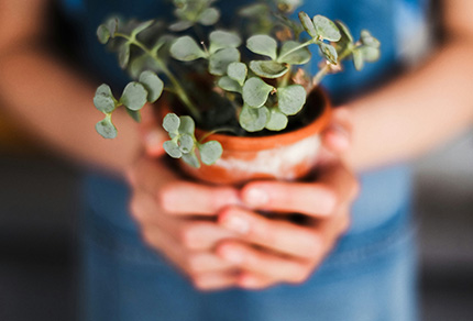 A person holding a potted plant.