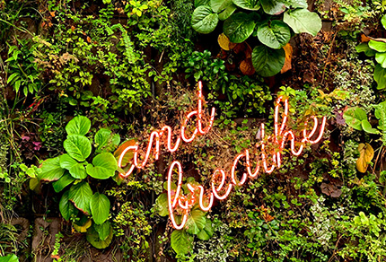 A signed reads "and breathe" placed around a variety of green bushes.