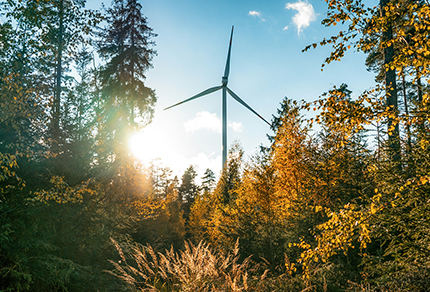 A wind turbine surrounded by forest.
